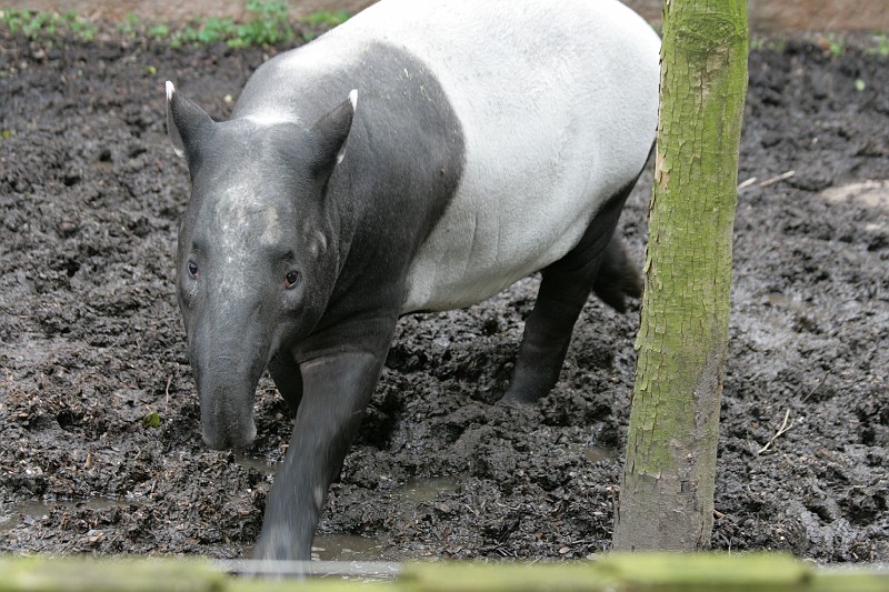 Fotoclubje Blijdorp 2008-37.jpg